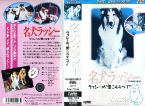 名犬ラッシー　ラッシーの愛こそすべて　lassie hanford's  point 日本語吹き替え版　ＶＨＳネットレンタル　ビデオ博物館　廃盤ビデオ専門店　株式会社Ｋプラス
