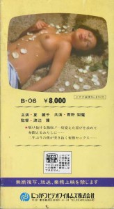 夏麗子の激痛・変態セックス　ＶＨＳネットレンタル　ビデオ博物館　廃盤ビデオ専門店　株式会社ｋプラス　ＶＨＳ買取　ビデオテープ買取　　