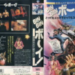 ＢＩＮＢＩＮボーイ！／誘惑されて狙われて